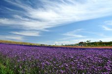 滦河神韵-沽源-小张太子jade