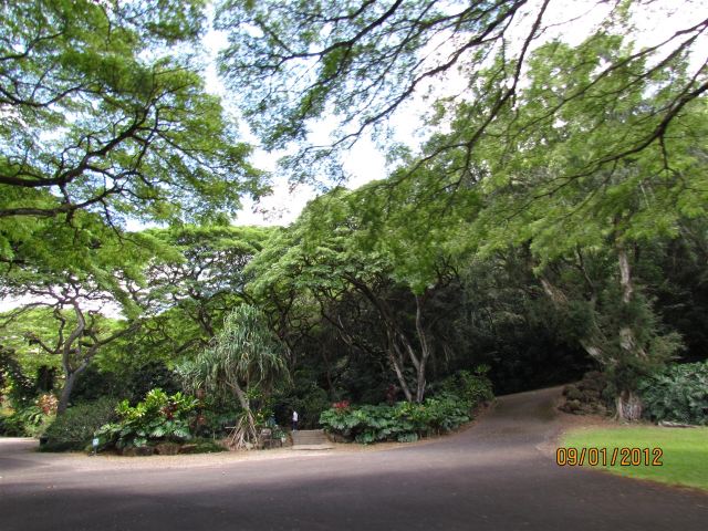 Waimea Valley