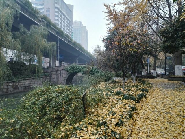Hu Xueyan's Former Residence