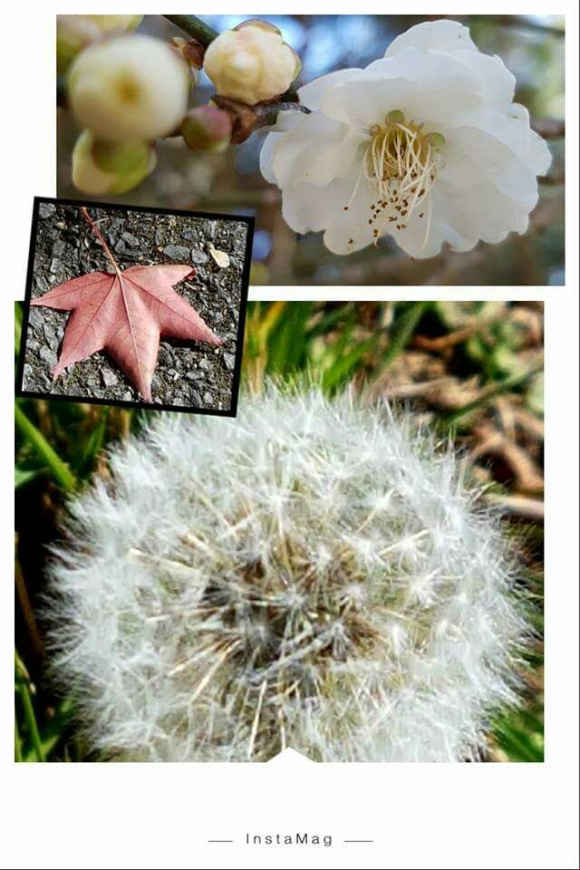 우링 농장