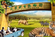 北京野生动物园景点图片