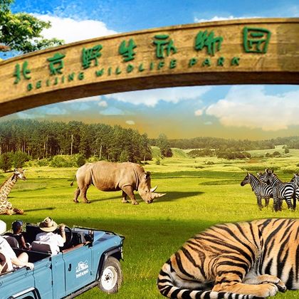 中国天津北京野生动物园一日游