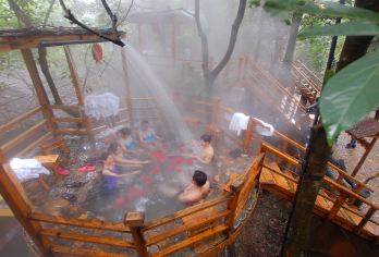 广东清远树上汤泉一日游【流水飞瀑、徒步登山，超赞方案~】【[团队出游]您是否需要策划一场完美的公司旅行，快点击客服咨询吧】