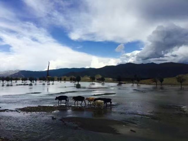桑耶寺
