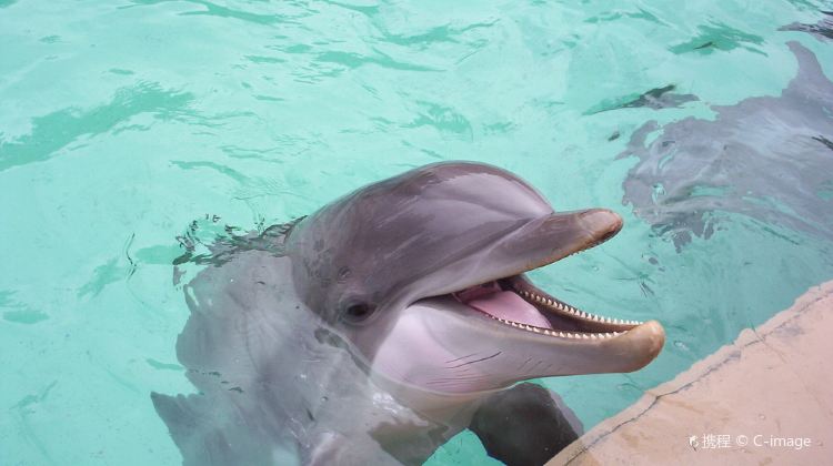 10-Day Tour from Orlando·Orlando 14 Theme Parks, Everglades National Park, Key West, Fort Lauderdale and Palm Beach| Small Group Tour of 2-14 Pax