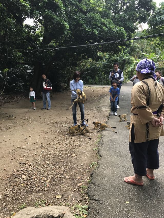 야에야마 민속원