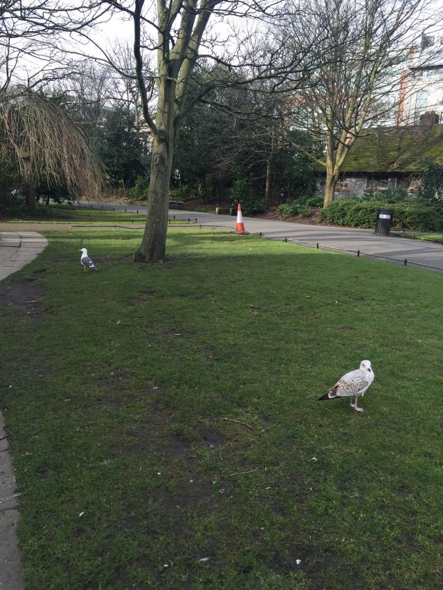 St. Stephen's Green