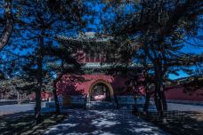 斋宫-北京-doris圈圈