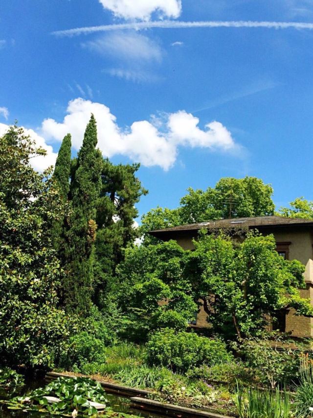 Palmengarten Attractions E20 63 Frankfurt Travel Review
