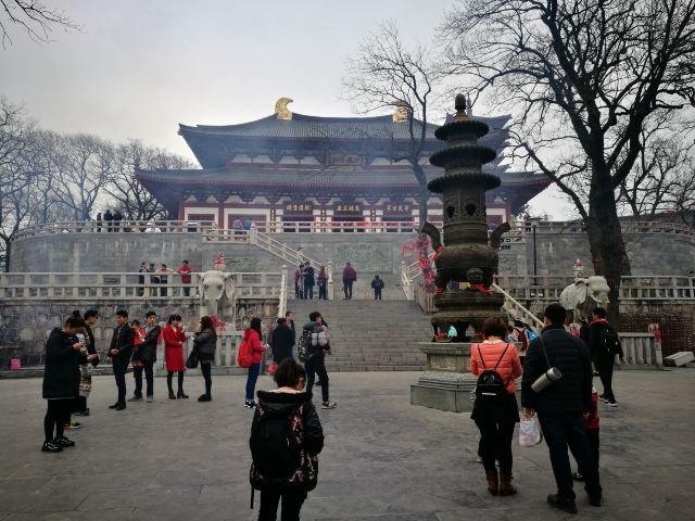 紫蓬山國家森林公園