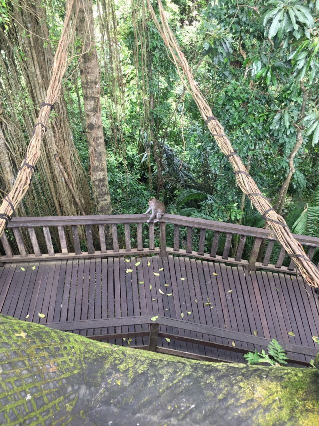 Ubud Monkey Forest