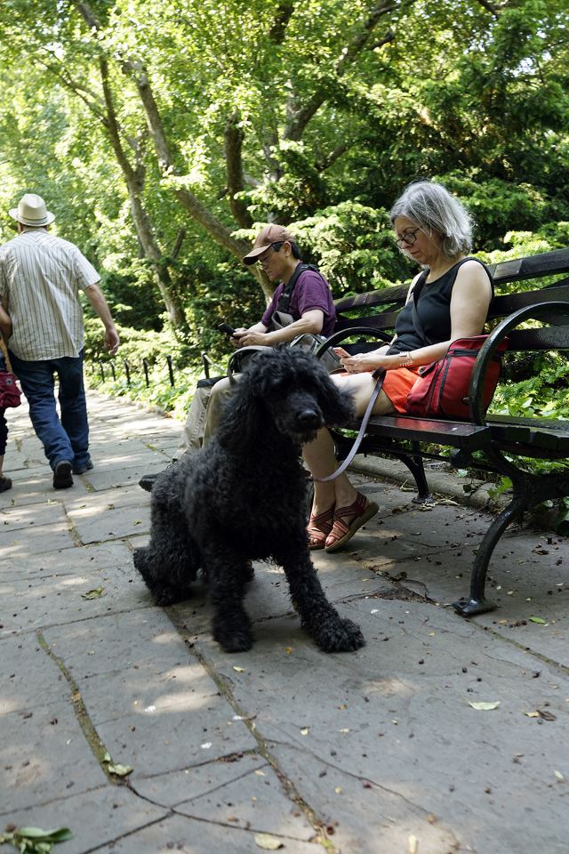 Central Park