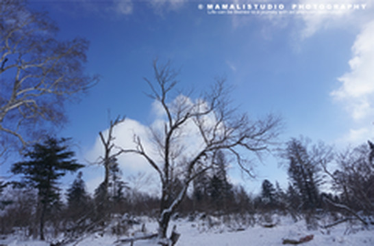 冰岛游记图片] 北欧人是怎么庆祝国庆的？