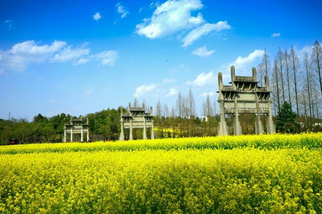 Bao's Garden of Tangyue Arch Group