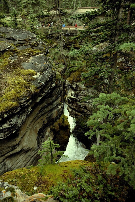 加拿大落基山之旅：地缝泉水，震耳欲聋