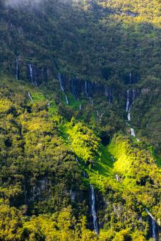 萨拉济-萨拉济-doris圈圈