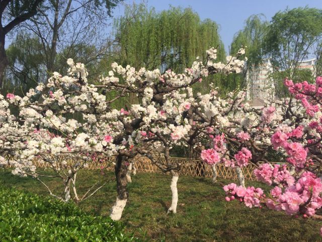 Baihua Park