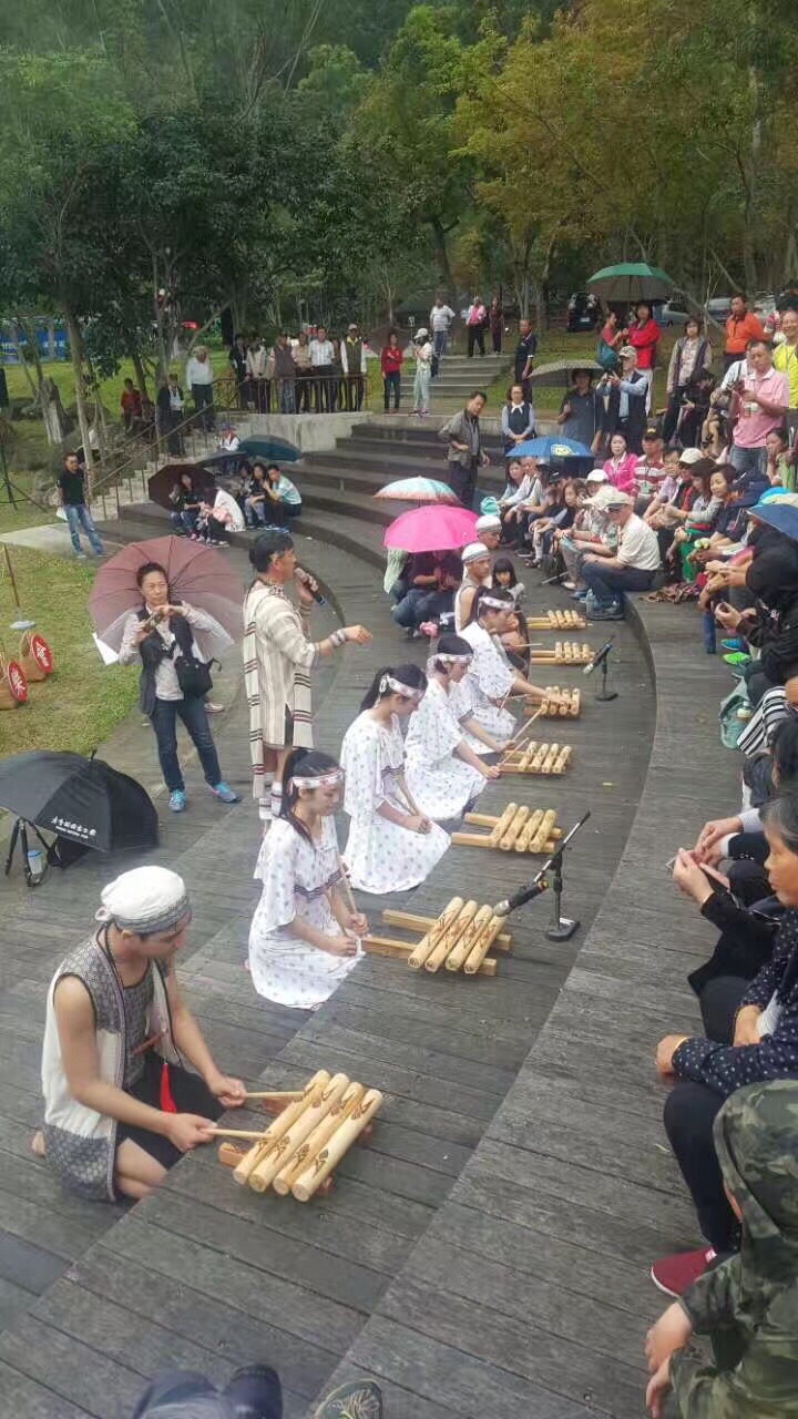 太鲁阁族表演