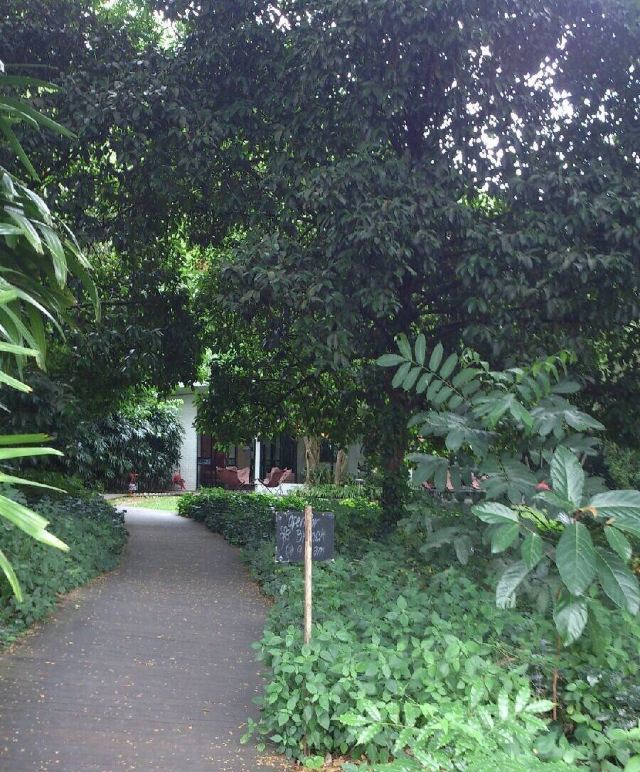 Dempsey Hill