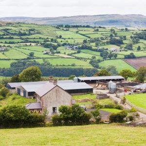 Northern Ireland
