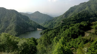 走马红色六安  绿色扑面而来