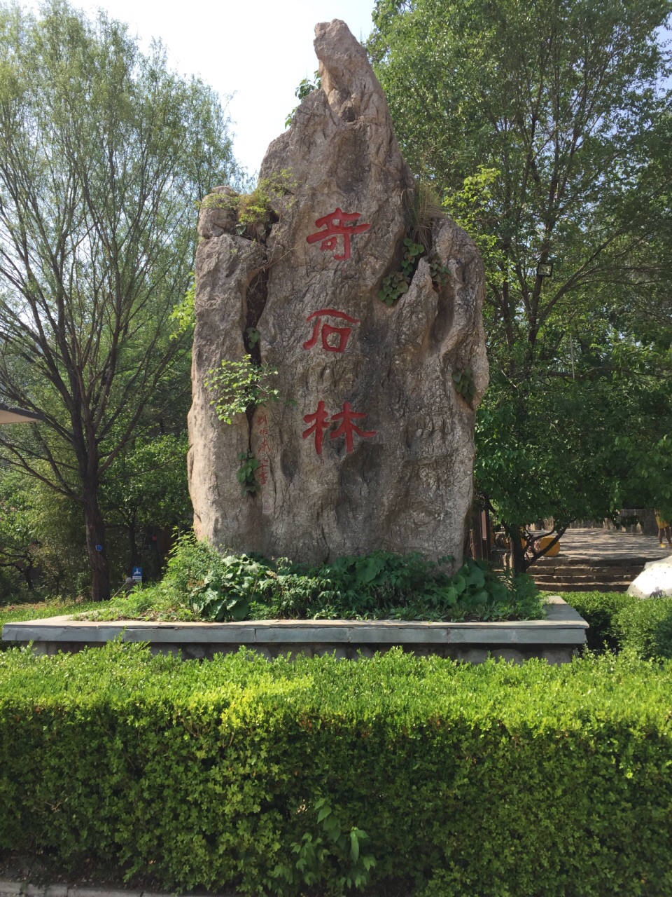 元古奇石林