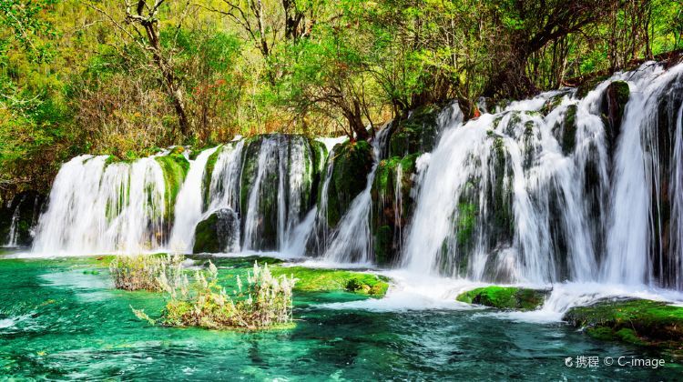 9-Day Mini Group Tours: Leshan + Mount Emei + Sanxingdui + Jiuzhaigou + Huanglong + Chengdu Research Base of Giant Panda Breeding