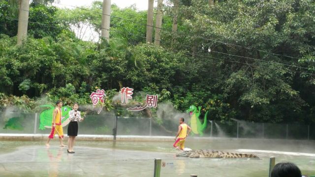 Chimelong Bird Park