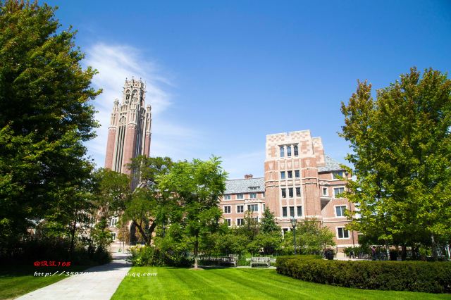 The University of Chicago