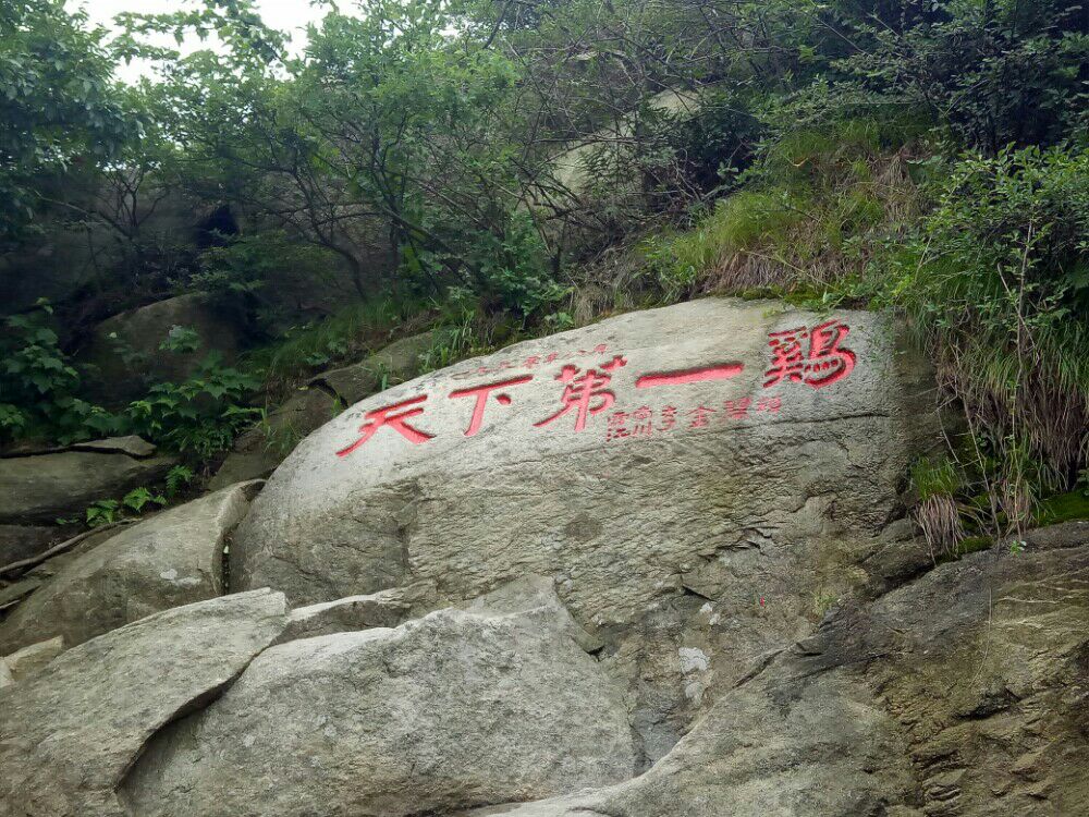 2017年6月12日，信阳鸡公山。