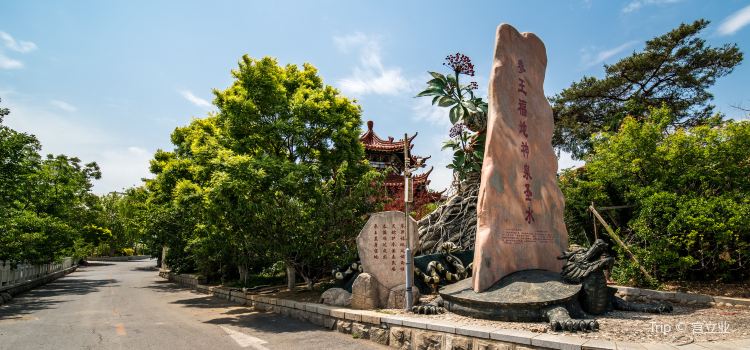 Chengyuan Hot Spring Villa Tickets Deals Reviews Family - 