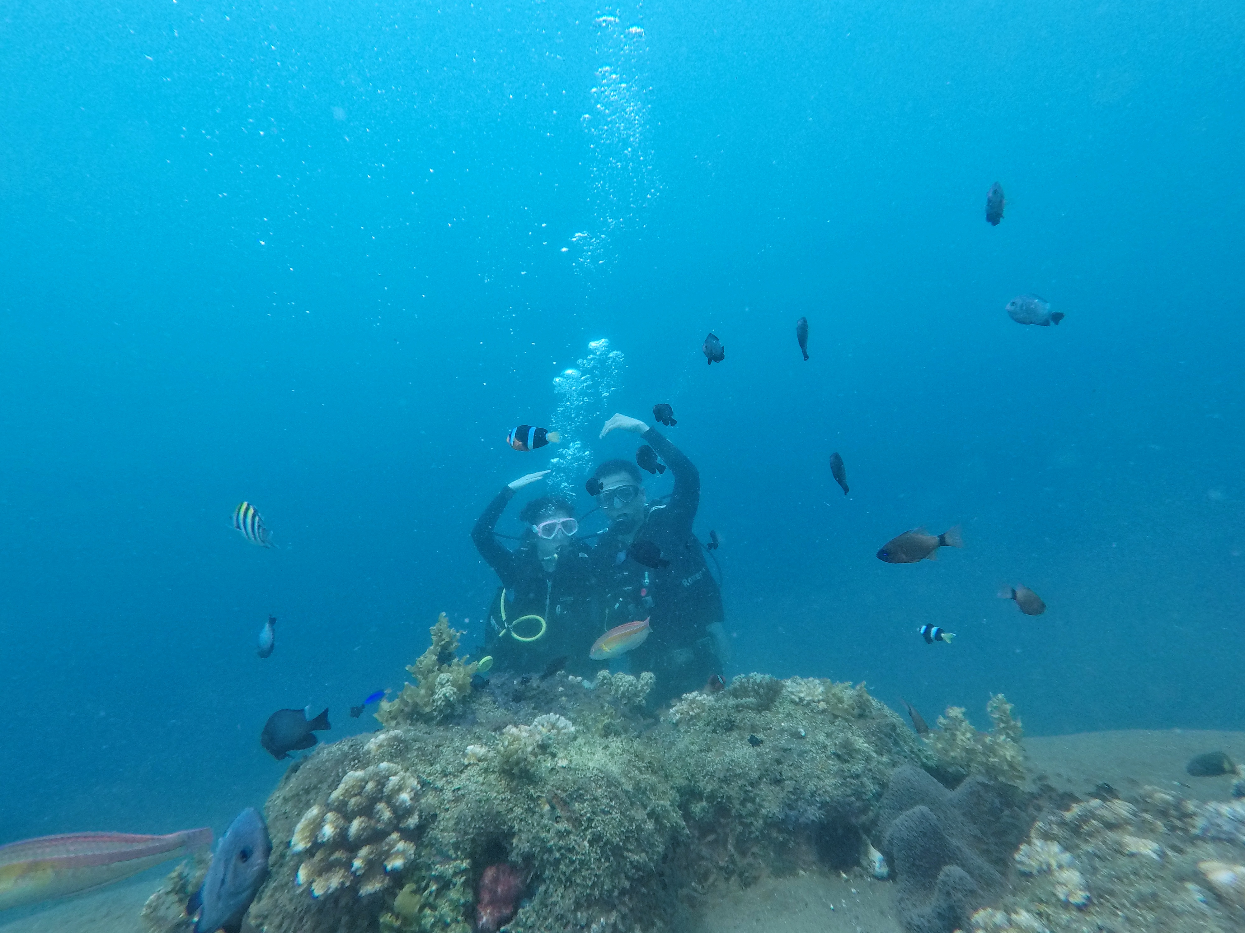 第五天   5月10日  体验深潜            「体验潜水」PADI把这项活动称为「Dis