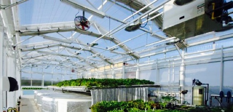 Market To Table餐厅图片