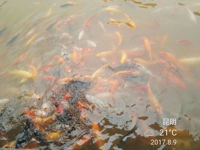 헤이룽탄 공원