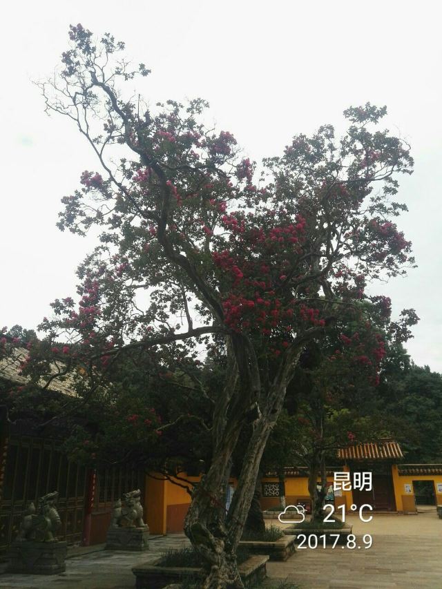 헤이룽탄 공원