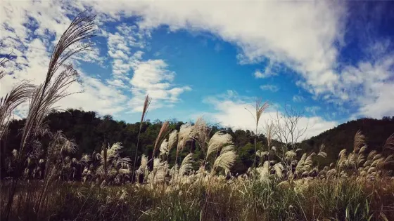 日鑄嶺