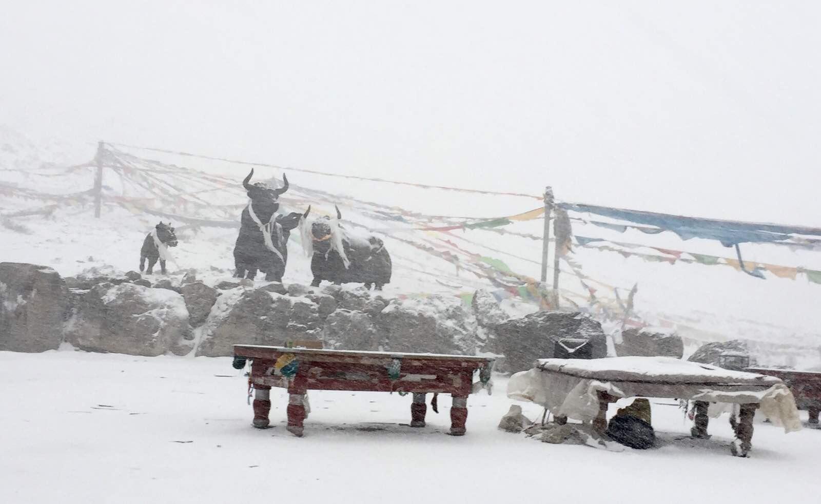 单车自驾川藏线之米拉山口遇大雪