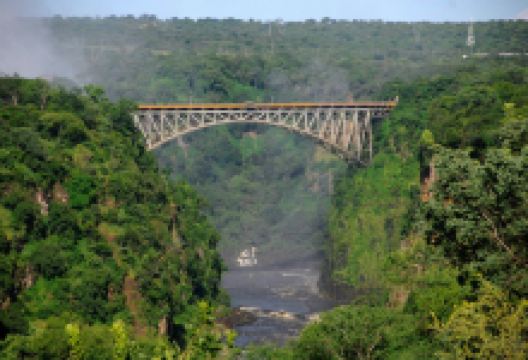 The Mango Tree Cafe美食图片