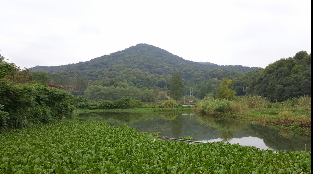 五洪山下网鱼记