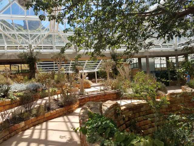 麦当劳(万达广场店)