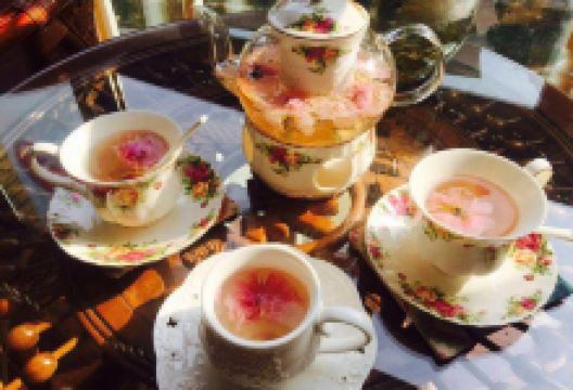 肯德基(东门桥店)美食图片