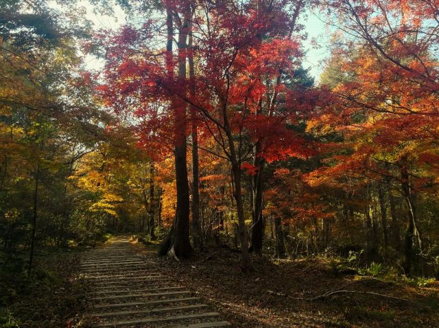 蛟河紅葉谷