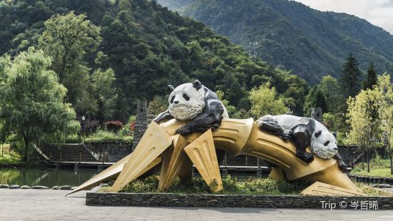 Wolong China Panda Garden Shenshuping Base Travel Guidebook Must