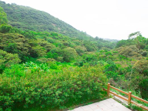 黄山鲁森林公园
