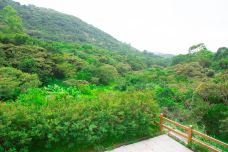 黄山鲁森林公园-广州-doris圈圈