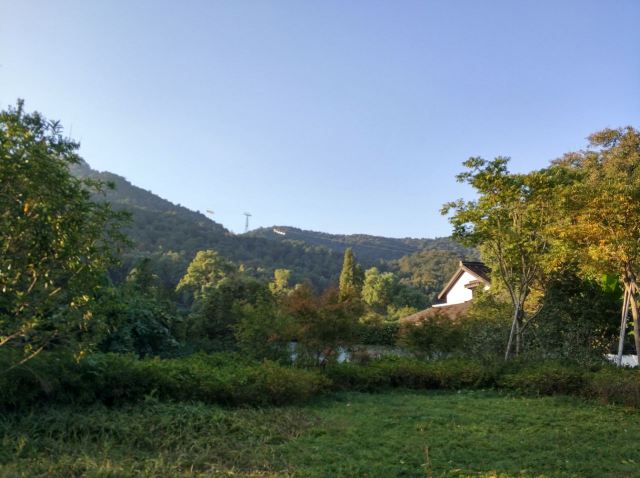 Hangzhou Lingyin Temple and Feilai Peak Scenic Spot