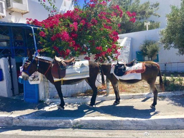 Pyrgos