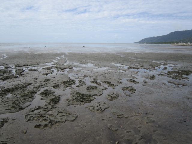 Cairns Esplanade Lagoon