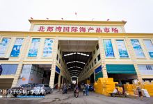 北部湾国际海产品市场购物图片