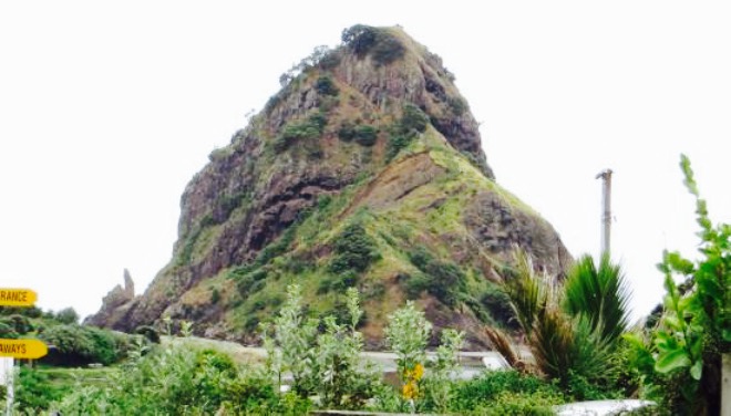 Piha Store